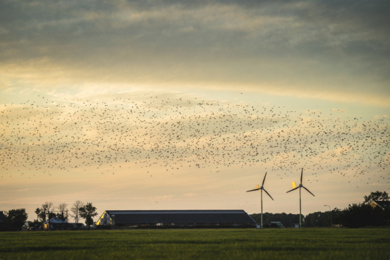 Staalprofielen in windmolens van EAZ Wind op boerenerven 